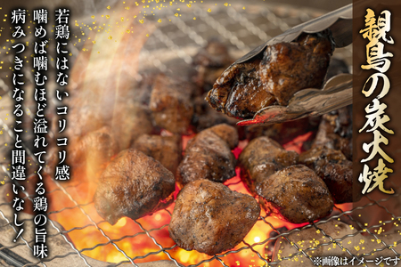 鶏 炭火焼き 柚子こしょう味 100g 6袋 計600g [カンショク 宮崎県 日向市 452061465]