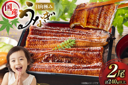 うなぎ 国産 日向極み うなぎ蒲焼 2尾 計240g以上 【たれ・山椒付き】 [日向サンパーク 宮崎県 日向市 452061502]