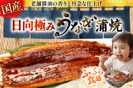 うなぎ 国産 日向極み うなぎ蒲焼 2尾 計240g以上 【たれ・山椒付き】 [日向サンパーク 宮崎県 日向市 452061502]