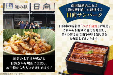 うなぎ 国産 日向極み うなぎ蒲焼 2尾 計240g以上 【たれ・山椒付き】 [日向サンパーク 宮崎県 日向市 452061502]