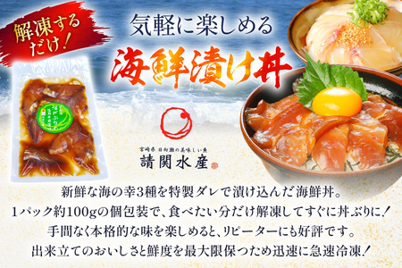 海鮮丼 海鮮漬け丼 3か月 定期便 [請関水産 宮崎県 日向市 452061453]