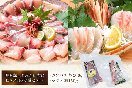 刺身 柵 カンパチ 真鯛 少量贅沢 食べ比べ セット [請関水産 宮崎県 日向市 452061438]