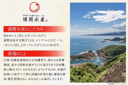 刺身 柵 ブリ 真鯛 少量贅沢 食べ比べ セット [請関水産 宮崎県 日向市 452061437]