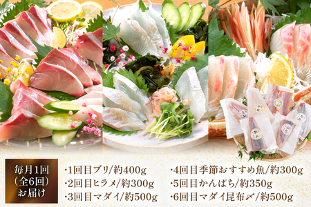 刺身 柵 旬のお刺身 6ケ月 定期便 [請関水産 宮崎県 日向市 452061455]