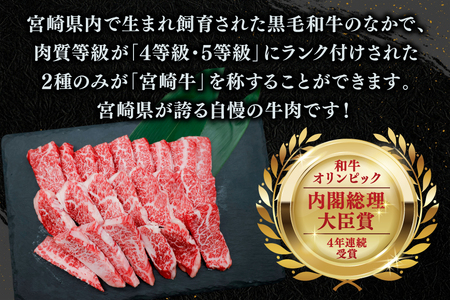 牛肉 宮崎牛 カルビ 焼肉 400g 2p 計800g [YAMATO 宮崎県 日向市 452061442]