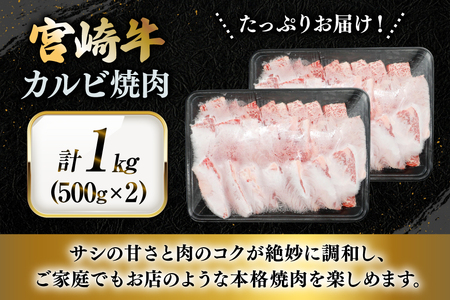 牛肉 宮崎牛 カルビ 焼肉 500g 2p 計 1kg [YAMATO 宮崎県 日向市 452061441]