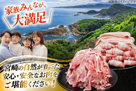 豚肉 小分け 宮崎県産 豚バラ スライス ＆ 切り落とし 計2.4kg [YAMATO 宮崎県 日向市 452061448]