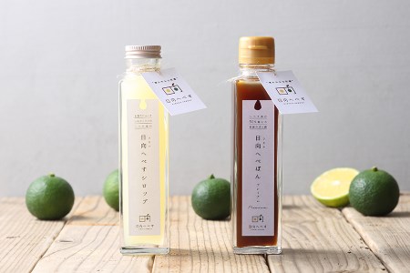 10-81 日向へべぽん&日向へべすシロップセット(各1本)