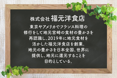 ビーフシチュー レトルト 宮崎牛ビーフシチュー 3P セット [福元洋食店 宮崎県 日向市 452061470] 