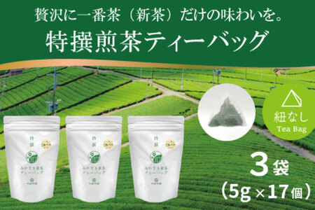 お茶 ティーバッグ 特撰 みやざき煎茶 3袋 セット [谷岩茶舗 宮崎県 日向市 452061642]