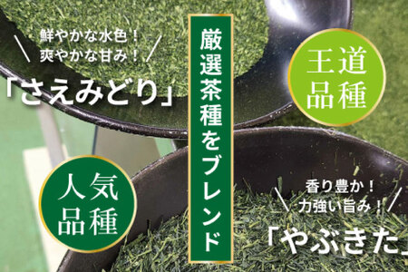 お茶 ティーバッグ 特撰 みやざき煎茶 5袋 セット [谷岩茶舗 宮崎県 日向市 452061643] 