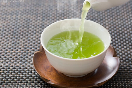 お茶 ティーバッグ 特撰 みやざき煎茶 5袋 セット [谷岩茶舗 宮崎県 日向市 452061643] 