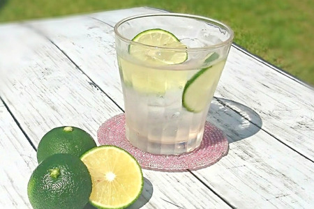 へべすの香りが口いっぱいに広がる！平兵衛酢ドリンク（125ml×24本