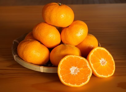 【期間限定発送】踊るおいしさ！味濃く甘い！ 青島みかん 2L 5kg [奈須農園 宮崎県 日向市 452061479]