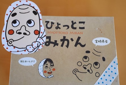 【期間限定発送】踊るおいしさ！味濃く甘い！ 青島みかん 2L 5kg [奈須農園 宮崎県 日向市 452061479]