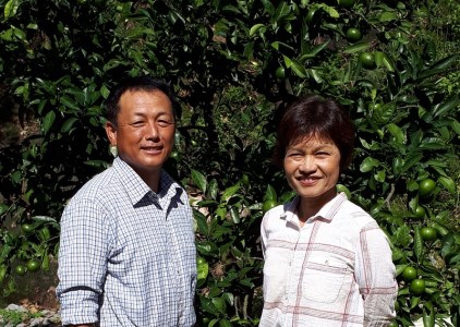 【期間限定発送】踊るおいしさ！味濃く甘い！ 青島みかん 2L 5kg [奈須農園 宮崎県 日向市 452061479]