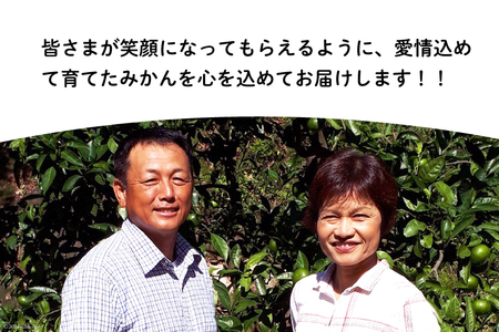 【期間限定発送】踊るおいしさ！味濃く甘い！ 青島みかん 5kg [奈須農園 宮崎県 日向市 452061478]