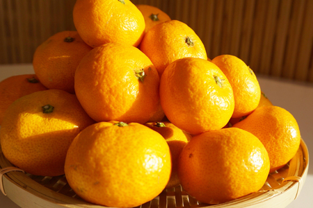 【期間限定発送】踊るおいしさ！味濃く甘い！ 青島みかん 5kg [奈須農園 宮崎県 日向市 452061478]