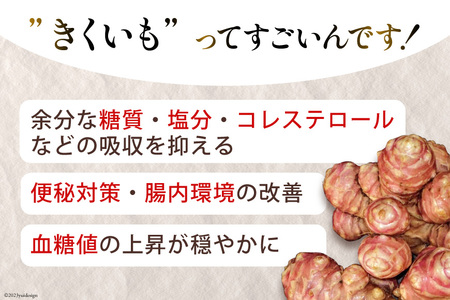 菊芋 《日向市産》有機JAS認証 菊芋(きくいも) パウダー 100g×2袋 [増田園芸 宮崎県 日向市 14-03]