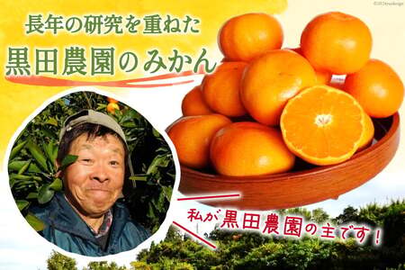 【期間限定発送】 みかん 5kg コクのある甘さ うまぁ?い！！青島晩生温州みかん 2L [黒田農園 宮崎県 日向市 452061302]