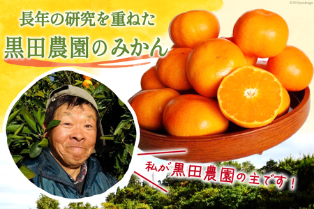 【期間限定発送】 みかん 5kg コクのある甘さ うまぁ〜い！！青島晩生温州みかん S・M・L いずれか [黒田農園 宮崎県 日向市 452061304] 果物 フルーツ ミカン 蜜柑 柑橘