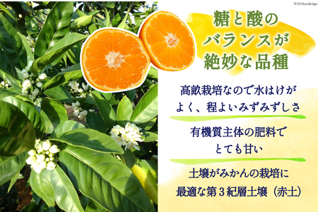 【期間限定発送】 みかん 5kg コクのある甘さ うまぁ〜い！！青島晩生温州みかん S・M・L いずれか [黒田農園 宮崎県 日向市 452061304] 果物 フルーツ ミカン 蜜柑 柑橘