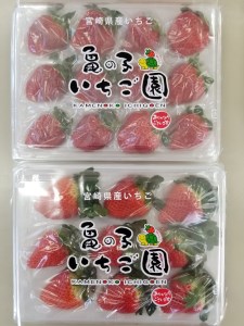 【期間限定発送】 果物 完熟いちご 食べ比べセット 350g～400g×2 [亀の子いちご園 宮崎県 日向市 452060852] フルーツ 苺 イチゴ 朝摘み 朝どれ 新鮮 やよいひめ よつぼし さがのほか 紅ほっぺ 国産