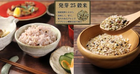 厳選ふるさと穀物セット 小袋タイプ 雑穀米 25穀米 もち麦 発芽玄米 黒米 国内産原料100 30g 6袋入 計12個 30 09 宮崎県日向市 ふるさと納税サイト ふるなび