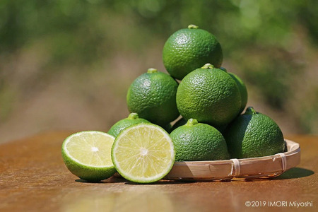 【期間限定発送】岩牡蠣 殻付き 細島 岩ガキ 約3kg 日向特産 へべす 400g セット [道の駅日向 宮崎県 日向市 452061390]