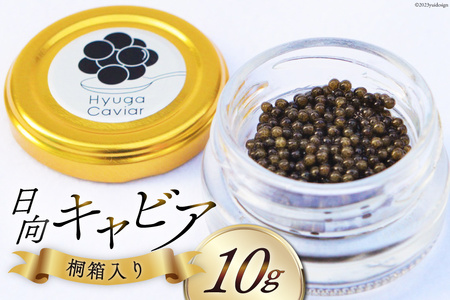 キャビア 日向キャビア (Hyuga Caviar) 10g 桐箱入り [ウィズ・クリエイティブ 宮崎県 日向市 452060890]
