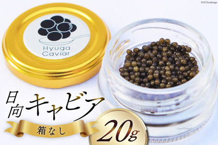 キャビア 日向キャビア (Hyuga Caviar) 20g 箱なし [ウィズ・クリエイティブ 宮崎県 日向市 452060323] 冷凍 宮崎 国産 チョウザメ フレッシュ