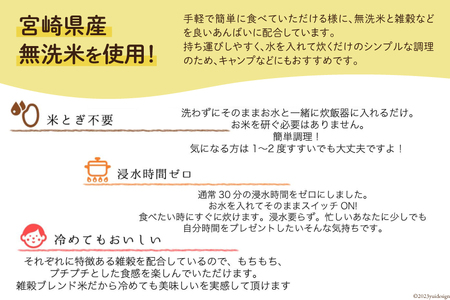 米 無洗米 11穀満足ごはん ごほうびごはん 250g×4 計 1kg [DANBO*DELI 宮崎県 日向市 452060022] 小分け 国産 ブレンド米 雑穀米 こめ コメ 雑穀