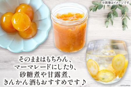 【期間限定発送】 訳あり 完熟 金柑 たまたま 1kg《ハウス栽培》 [鈴野農園 宮崎県 日向市 452060981]