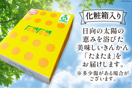 【期間限定発送】 訳あり 完熟 金柑 たまたま 1kg《ハウス栽培》 [鈴野農園 宮崎県 日向市 452060981]