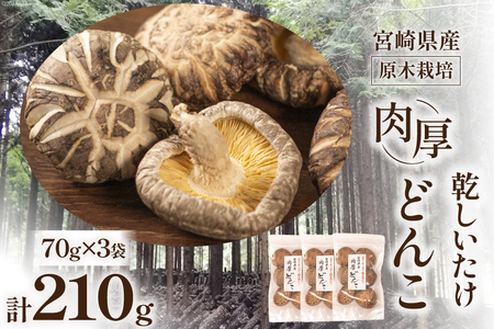 椎茸問屋本吉 宮崎県産 原木栽培 乾しいたけ 肉厚 どんこ(70g×3袋)計