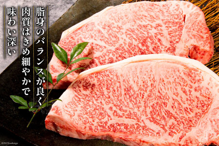 【畜産農家応援】 牛肉 宮崎牛 ロースステーキ 250g×2 計500g [ミヤチク 宮崎県 日向市 452061593]