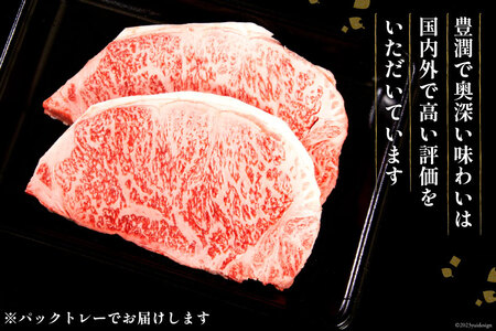【畜産農家応援】 牛肉 宮崎牛 ロースステーキ 250g×2 計500g [ミヤチク 宮崎県 日向市 452061593]
