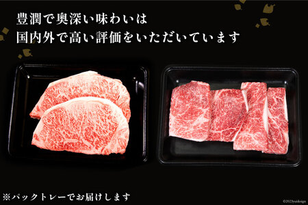 牛肉 宮崎牛 ロースステーキ 500g & モモステーキ 400g 計900g [ミヤチク 宮崎県 日向市 452061586]