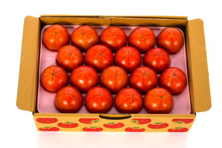 【先行受付】トマト にいな農園SUNすいーと 1.5kg × 1箱 [にいな農園 宮崎県 日向市 452060155] 高糖度 甘い フルーツ トマト 糖度 野菜