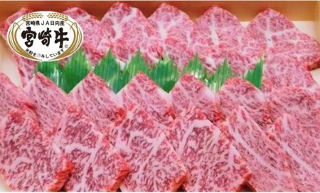 20-02 JA日向産 宮崎牛プレミアム焼肉セット 極(きわみ) 400g