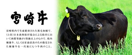 02 ｊａ日向産 宮崎牛プレミアム焼肉セット 極 きわみ 400g 宮崎県日向市 ふるさと納税サイト ふるなび