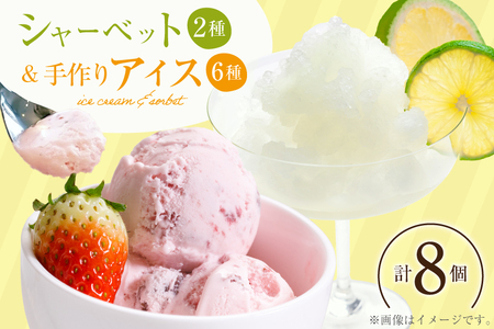 アイス 人気の手作りアイス6種 & シャーベット 2種 計8個 [マエダ製菓 宮崎県 日向市 452060804]