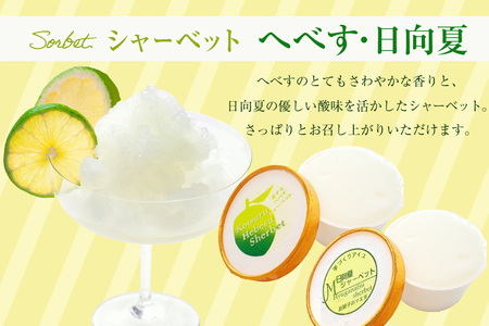 アイス 人気の手作りアイス6種 & シャーベット 2種 計8個 [マエダ製菓 宮崎県 日向市 452060804]