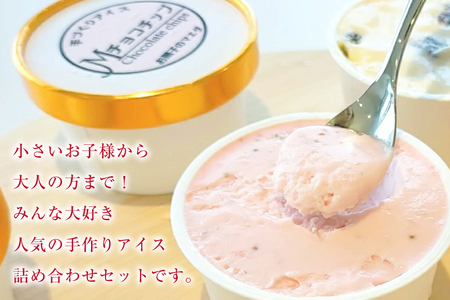 アイス 人気の手作りアイス6種 & シャーベット 2種 計8個 [マエダ製菓 宮崎県 日向市 452060804]