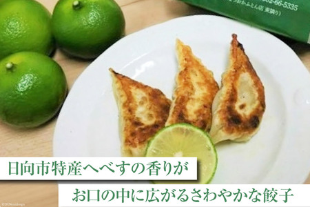 宮崎餃子 へべす餃子 15個×4 計60個 [餃子の里 宮崎県 日向市 452061116]