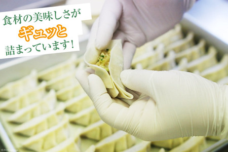 宮崎餃子 へべす餃子 15個×4 計60個 [餃子の里 宮崎県 日向市 452061116]