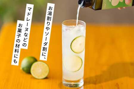 へべす 果汁 シロップ HEBESU 100％へべす果汁(150ml×2本)へべすシロップ(120ml×1本)計3本セット [ひむか農園 宮崎県 日向市 452060727]