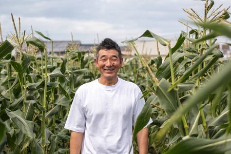 【期間限定発送】 とうもろこし スイートコーン 『おおもの』4.5kg (10本～12本) [黒木ふぁーむ 宮崎県 日向市 452060140]