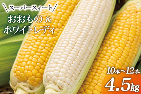 【期間限定発送】 とうもろこし スイートコーン おおもの(黄)・ホワイトレディ(白) 4.5kg (10本～12本) [黒木ふぁーむ 宮崎県 日向市 452060141]