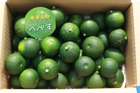 【期間限定発送】 へべす ひなたGAP認定 ふぞろい 5kg [へべすの悠美園 宮崎県 日向市 452060724]